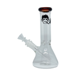 Small Glass Bong